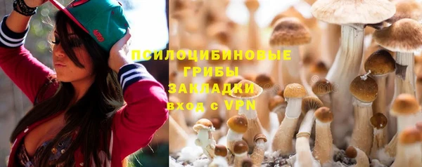PSILOCYBIN Лиски