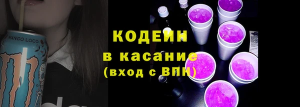 ГАЛЛЮЦИНОГЕННЫЕ ГРИБЫ Лагань