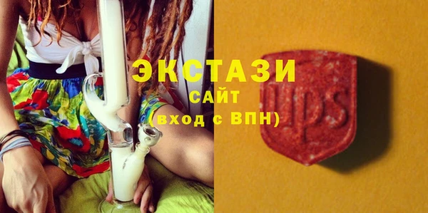 ГАЛЛЮЦИНОГЕННЫЕ ГРИБЫ Лагань